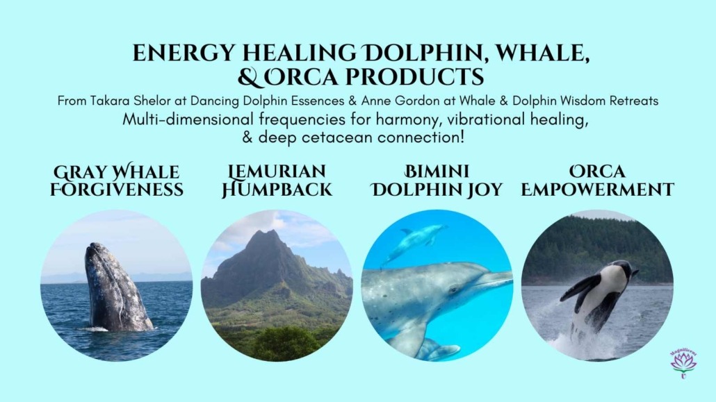 Dolphin essence, whale essence, orca essence