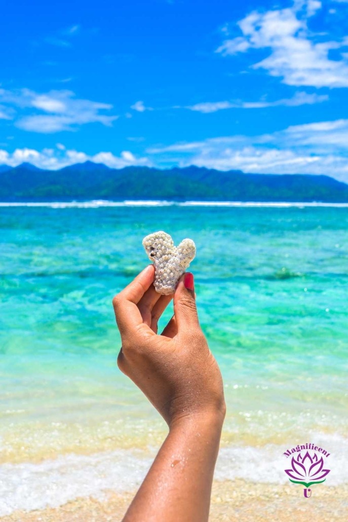 Ocean Heart Ocean heart