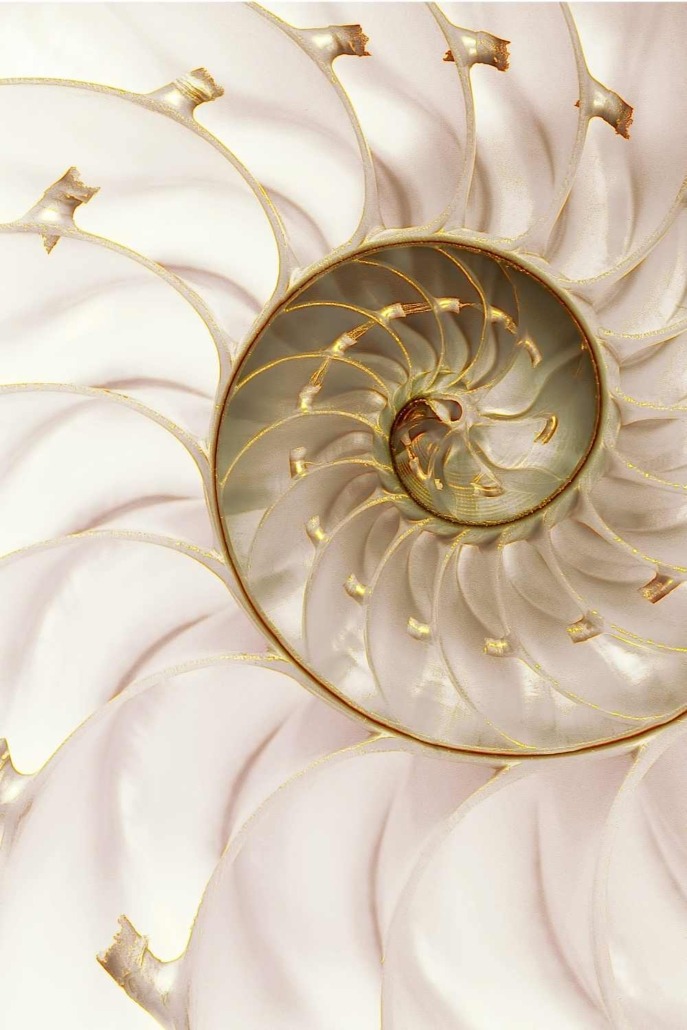 Shell Shell 4