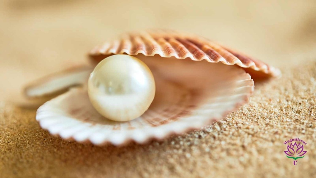 shell and pearl Gifts From the Sea gift giveaway