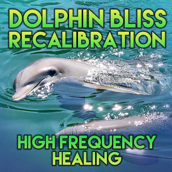 Nan Akasha-Dolphin Bliss Healing Recalibration