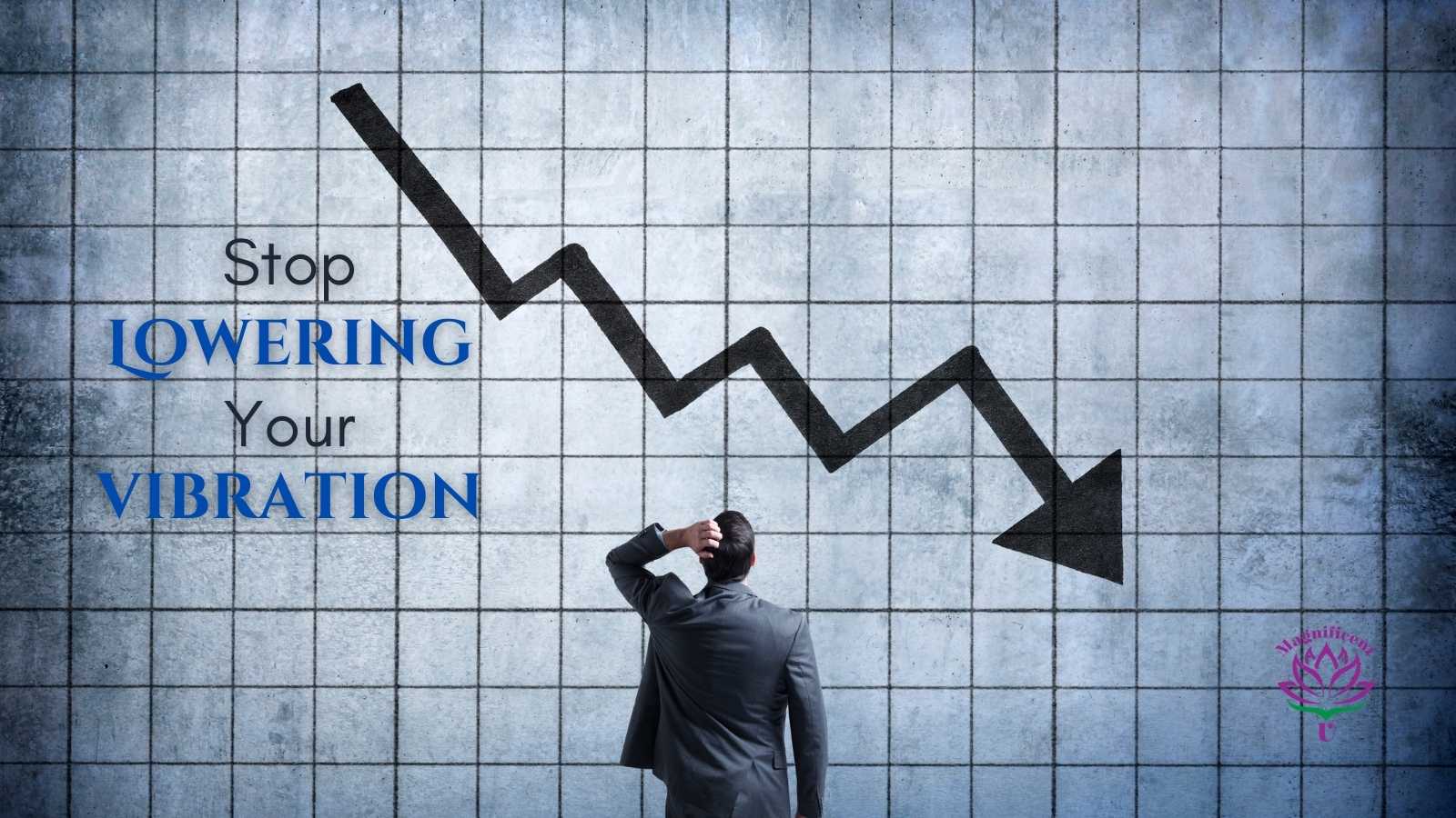 Want to Stop Lowering Your Vibration, Raise Your Vibration