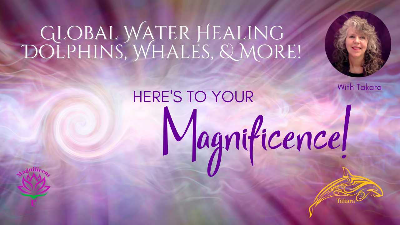 Global Water Healing Dolphins, Whales, & More! Global Equinox Water Healing Meditation Dolphins Whales