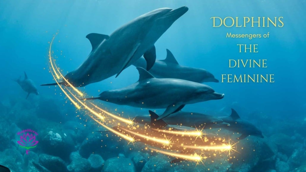 dolphin energy healing course, Dolphins Divine Feminine