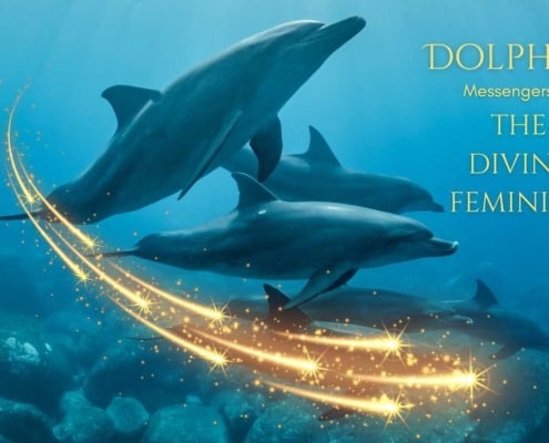 dolphin energy healing course, Dolphins Divine Feminine