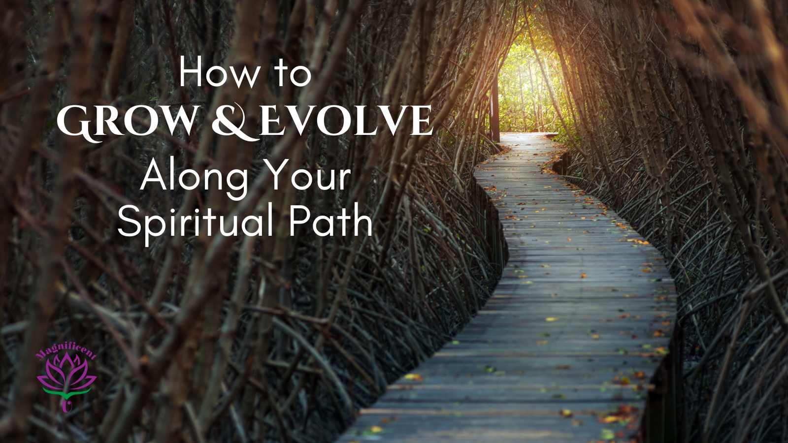 How to Grow & Evolve Along Spiritual Path