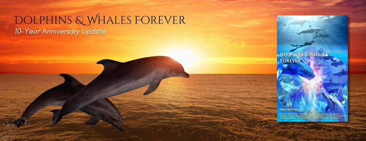 Dolphins & Whales Forever Bestselling Book