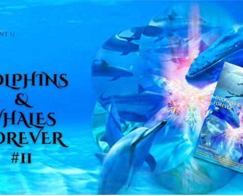 Dolphins & Whales Forever Book Tour