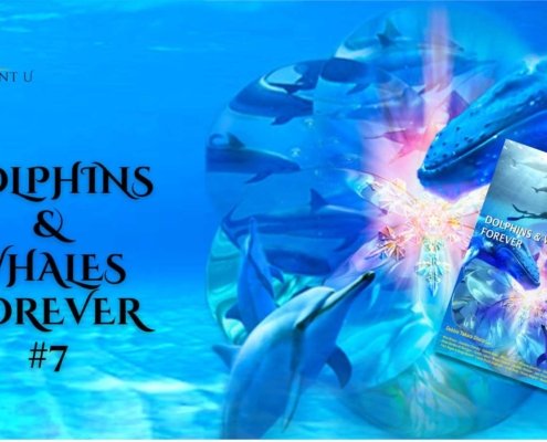 Dolphins & Whales Forever book tour New Mexico with Timothy Wyllie