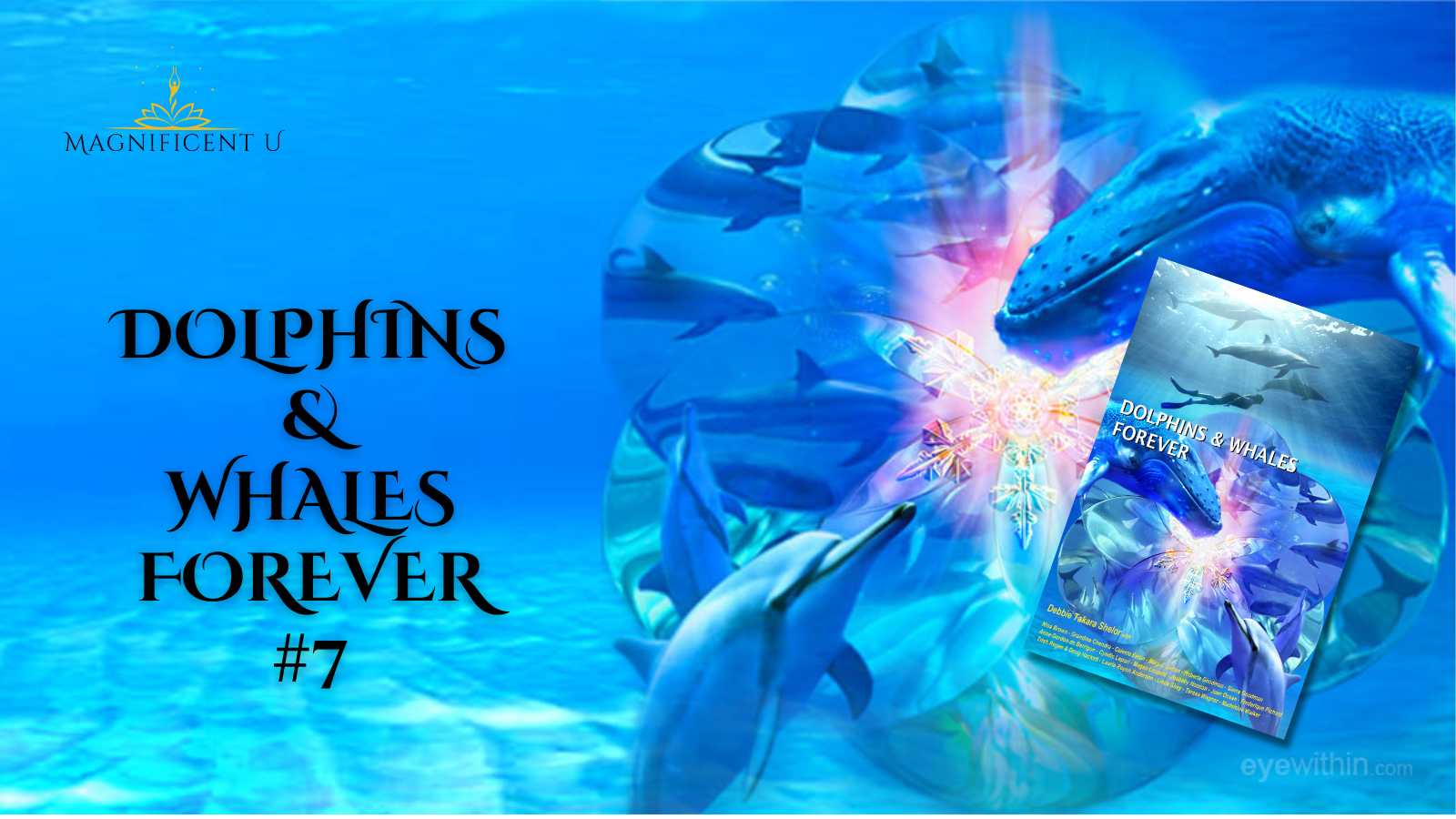 Dolphins & Whales Forever book tour New Mexico with Timothy Wyllie