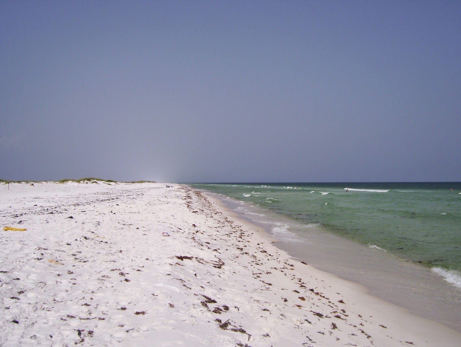 Navarre Beach Florida Dolphins & Whales Forever book tour