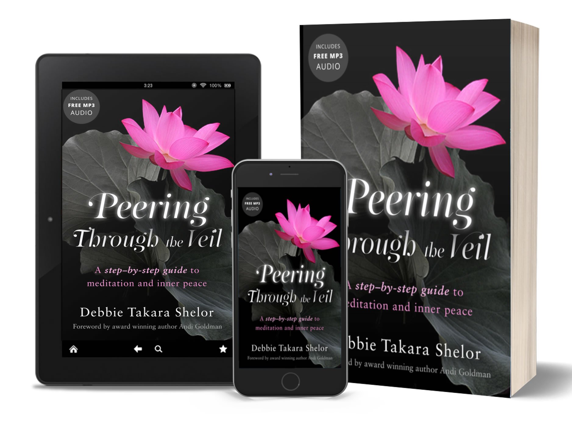 Peering Through the Veil Bestselling Meditation Book